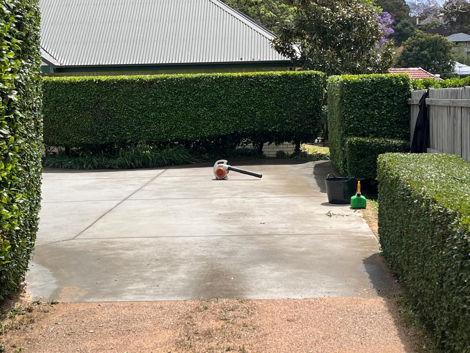 Manicured hedges